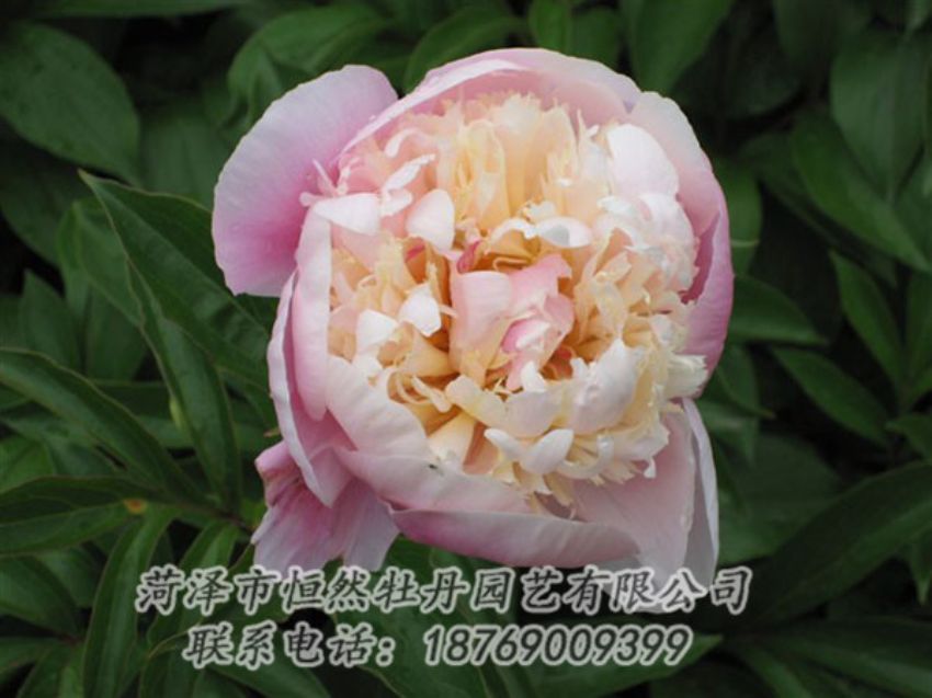點擊查看詳細信息<br>標(biāo)題：湖光山色 閱讀次數(shù)：1270